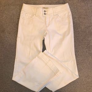 CAbi Women's Boot Cut Jeans - Cream